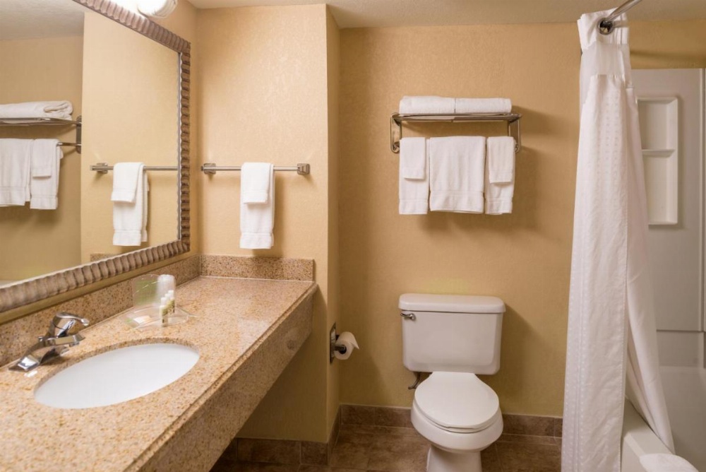 Holiday Inn & Suites Orlando SW - Celebration Area Image 27