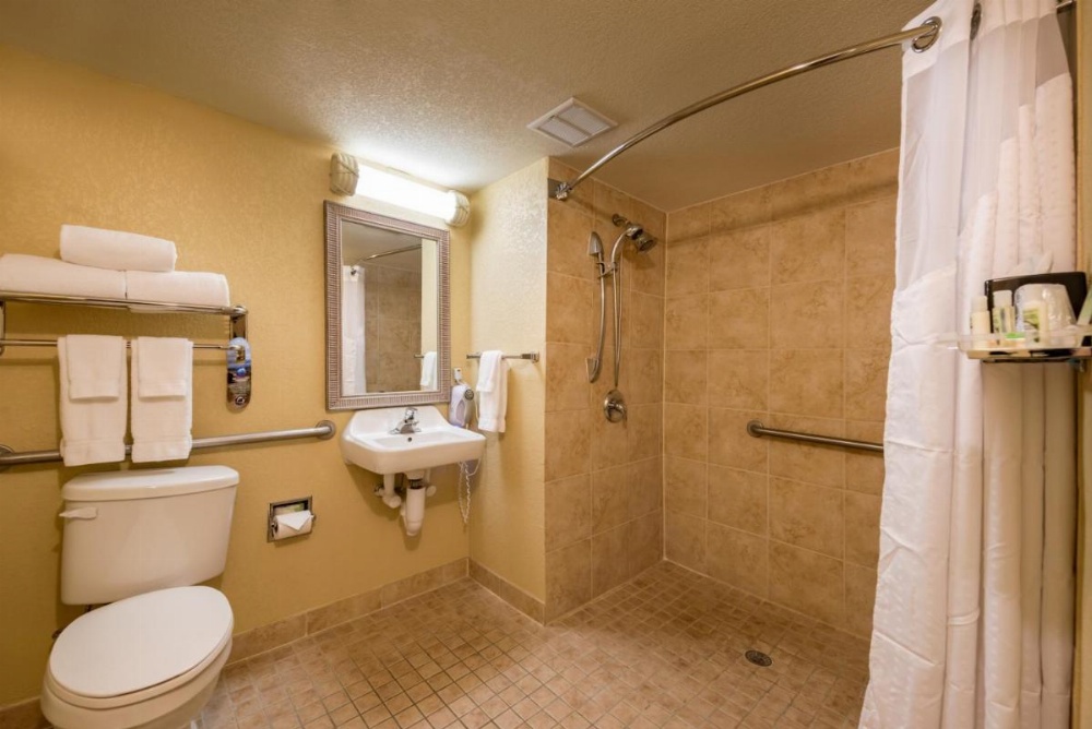 Holiday Inn & Suites Orlando SW - Celebration Area Image 29